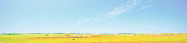 落实人才振兴，打造吕梁样板：吕梁生猪全产业链云课堂正式上线！?